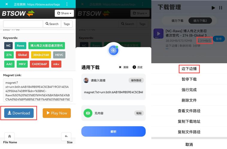 bt磁力搜索器,高效BT磁力搜索工具，一键寻宝